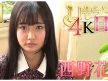 4KME-004 西野花恋 4Kいもうと目線 热门