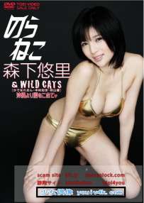 DSTD-02875 森下悠里 のらねこ 森下悠里 WILD CAT'S 沖縄より愛...