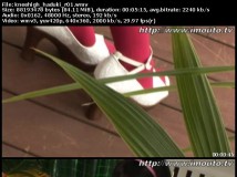 [imouto.tv] Ran Haduki 葉月らん kneehigh_haduki_r01-02