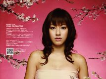 杉本有美 2007.01 – 2012.04 杂志合集 442P215MB115网盘