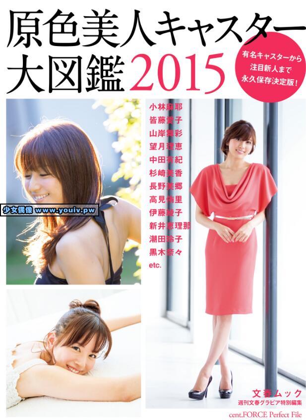 Photobook 原色美人キャスター大図鑑2015