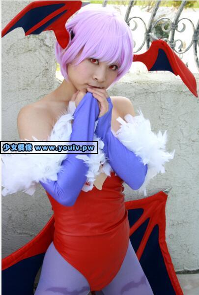 Cosplay Hit Factory Vampire Hunter R Darkstalkers